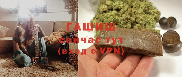 дмт Снежногорск