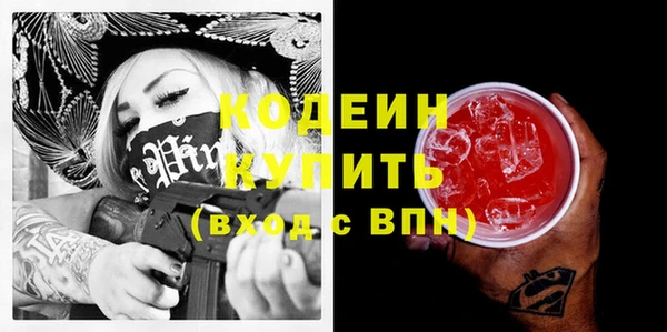 дмт Снежногорск