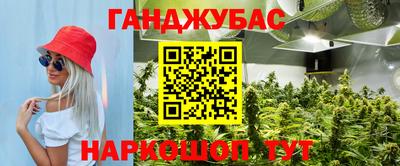 прущие грибы Волгодонск