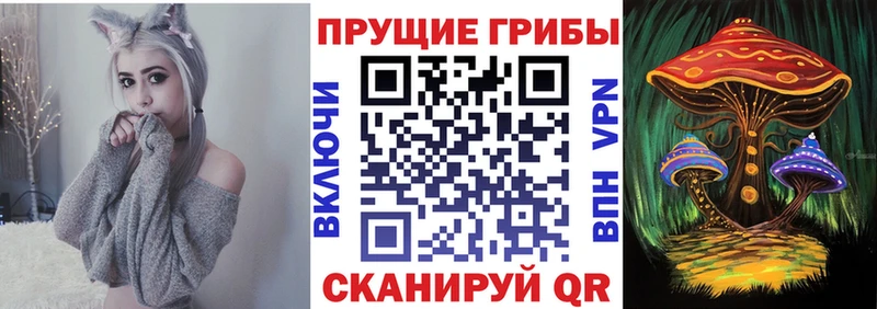 Псилоцибиновые грибы мицелий Набережные Челны