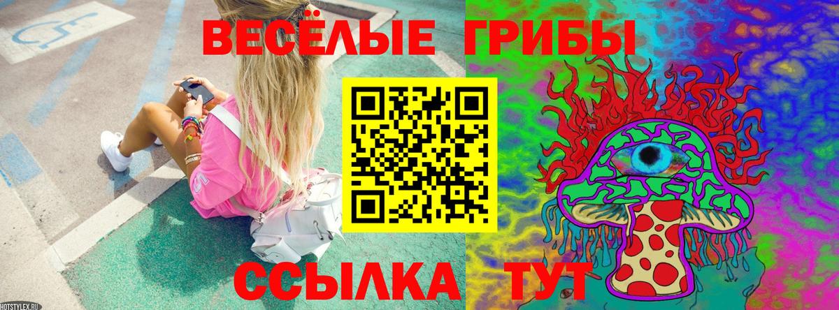 Псилоцибиновые грибы Psilocybine cubensis Набережные Челны