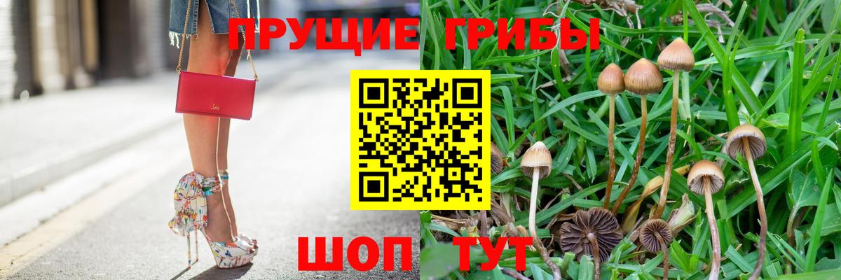 Псилоцибиновые грибы Psilocybe  Вход с VPN  Галлюциногенные грибы Psilocybine cubensis  Набережные Челны 
