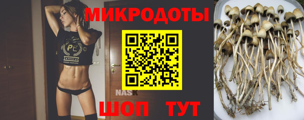 что такое   Набережные Челны  Галлюциногенные грибы Cubensis 